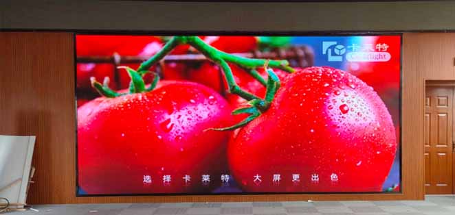 陽(yáng)明小學(xué)p2.5