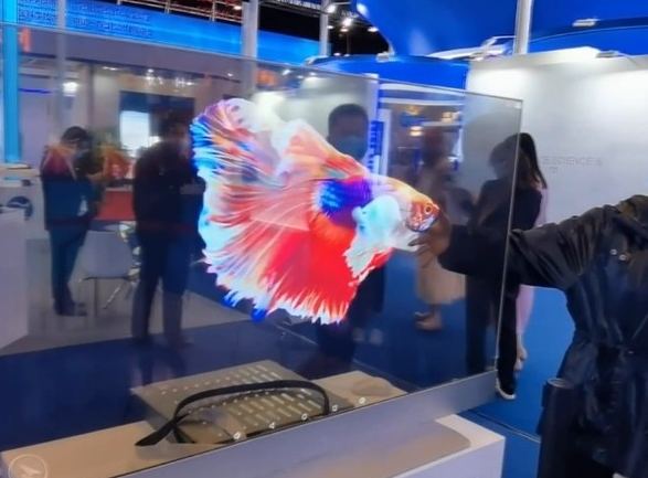 長沙LED顯示屏公司,長沙LED顯示屏廠家,長沙小間距LED顯示屏,長沙電子顯示屏,長沙LED異形屏,長沙LED透明屏,長沙LED顯示屏,長沙LED大屏,湖南LED顯示屏公司,湖南電子顯示屏,湖南全彩顯示屏,湖南LED顯示屏,湖南LED大屏